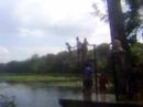 jumpin in wacissa river jumpin in wacissa river