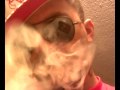 Hollywood Boogie - Aint Nobody Fuckin With Me (produced by trixx beats) Free Ajentz Ent.