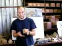 The Rise of Man at Sterkfontein Part One