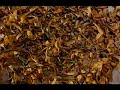 leavesand feathers1.mov