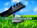 Video Thumbnail Image
