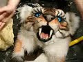 Airbrushing a Fursuit: Part 4 Airbrushing a Fursuit: Part 4