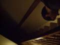 videos de Tim Fairclough 