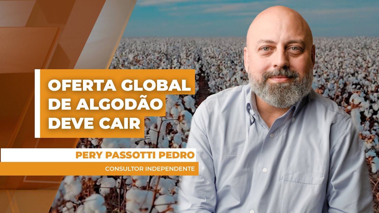 Mercado brasileiro do algodão pode ver preços melhores no médio prazo