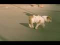 videos de Raiffeisen bank flexicredit integral commercial spot TV