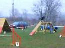 Benek agility