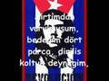 ceylanpınar kızıltepe viranşehir suruç ben deliyim şiiri