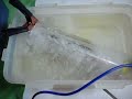 DC12V Water fuel cell 3(baking soda)