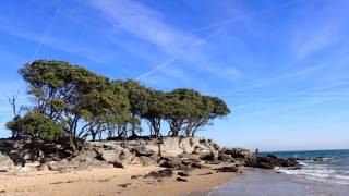 Apkārt Île De Noirmoutier (Francija)