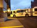 New Flyer Bus