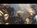 Yongala clip 1