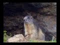 Rando dans les Pyr�n�es de Cauterets � Saint-Lary - Part 2
