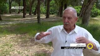 تقرير - قرية الكابري ،ذكريات ما قبل التهجير - صباحنا غير- 30-4-2017 - قناة مساواة الفضائية تقرير - قرية الكابري ،ذكريات ما قبل التهجير - صباحنا غير- 30-4-2017 - قناة مساواة الفضائية