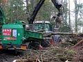 Fendt 930 + jenz chipper