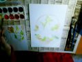 Drawing lilies and roses in basket  - still-life drawing
