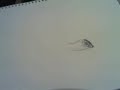 Steve Buscemi Drawing