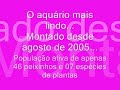 Podem dizer, ele é lindo né???Montado desde 2005, possui atualmente uma população de 46 peixinhos e 07 espécies de plantas... 