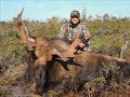 Moose country Adventures