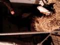 videos de Livilliers 300.mpg
