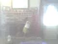 julissajazminbailando2