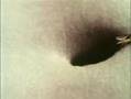 Musca