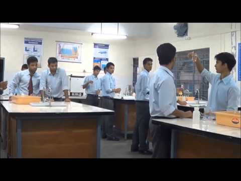 how to transplant esperanza