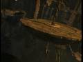 Tomb Raider Underworld Gameplay!!