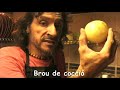DIDGERIDOO I SEITAN... AMB CATAL�