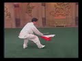Taiji - broad sword