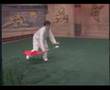 Taiji - broad sword
