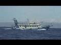 Diving Thailand Koh Tao Chumpon pin 1