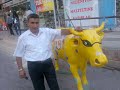 Sevgili Amcam Halit G�RS