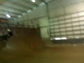 Savy's moves are BEAST