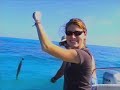 Abaco Fishing Story
