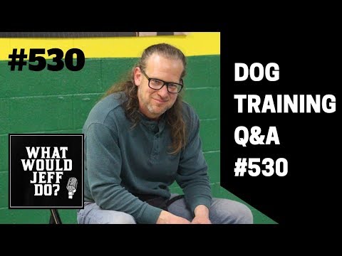 Getting a Second Dog | Stop Dog Humping | What Would Jeff Do? Dog Training Q & A #530