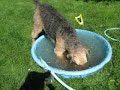 20080320-ios-hoofd-onder-water-live-jensen.html
