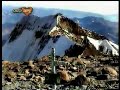 Facundo Arana, desde humahuaca hasta el Aconcagua