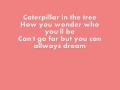 BUTTERFLY,FLY AWAY-MILEY CYRUS (LYRICS)