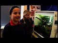 Part 4 Croaking Frogs Part 4 Croaking Frogs
