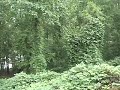 Lake Keowee Lot 27 Waters Edge Waterfront Mike Roach Real Estate