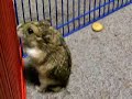 hank-and-peggy-messing-around.html