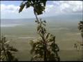 TANZANIA SAFARIS NGORO NGORO SERENGETI MANYARA TARANGIRE 7