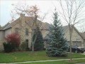 Armour Shield Roofing - 2010 BBB Integrity Award Nomination