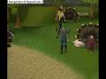 videos de dragon plate and new thanksgiving emote
