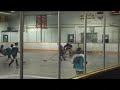 A. Casinelli Makes A Diving Poke Check to Stop the Breakaway