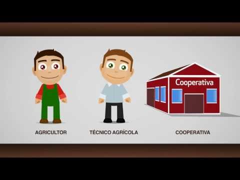 Imagen de previsualización de YouTube