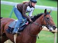 Curlin or Big Brown?
