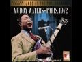 I' M A KING BEE/(MUDDY WATERS COVER)