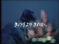 ビクタービデオテープ　EPO　