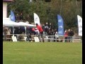 videos de Marcus Wolff @ Wursti - Dogfrisbee EC 2008